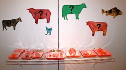 Mystery meat